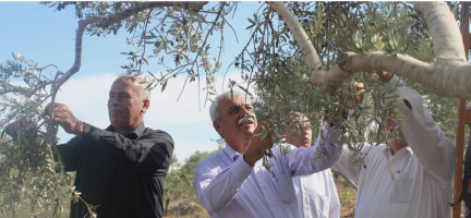 Première conférence foncière internationale en Palestine